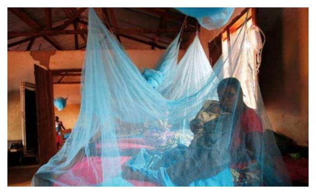 z6com尊龙凯时APP中国的蚊帐被非洲人拿来这样用害了自己不说还酿下了苦果(图3)