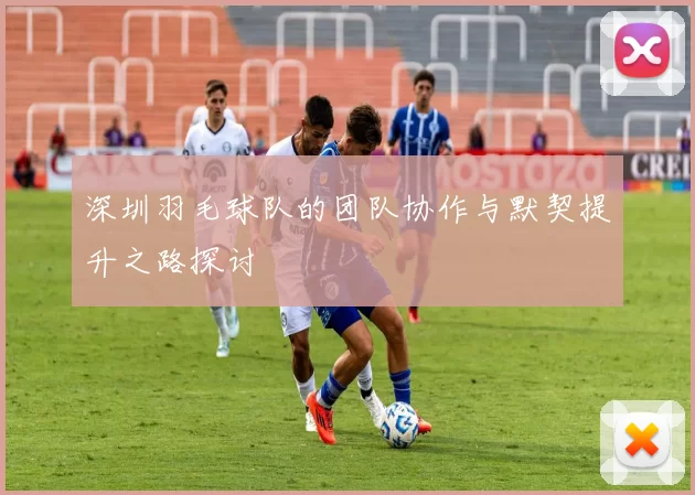 深圳羽毛球队的团队协作与默契提升之路探讨