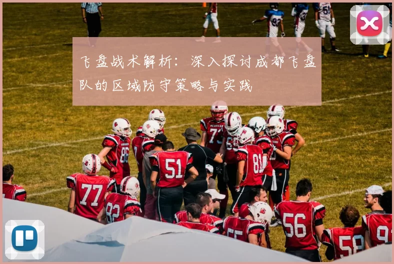 飞盘战术解析：深入探讨成都飞盘队的区域防守策略与实践