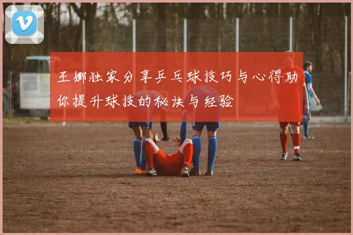 王娜独家分享乒乓球技巧与心得助你提升球技的秘诀与经验
