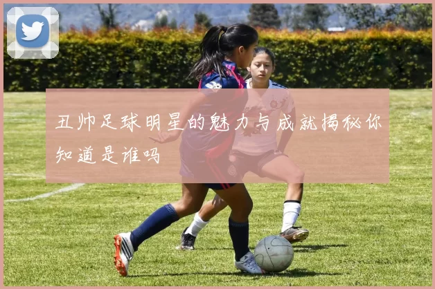 丑帅足球明星的魅力与成就揭秘你知道是谁吗