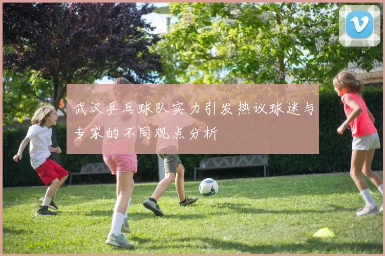武汉乒乓球队实力引发热议球迷与专家的不同观点分析