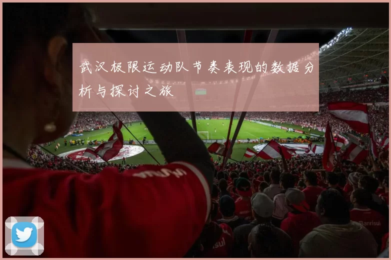 武汉极限运动队节奏表现的数据分析与探讨之旅
