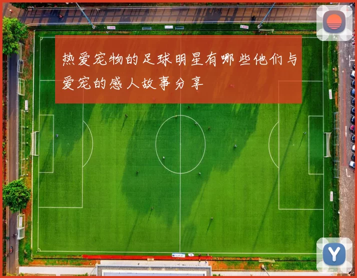 热爱宠物的足球明星有哪些他们与爱宠的感人故事分享