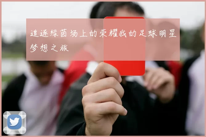 追逐绿茵场上的荣耀我的足球明星梦想之旅
