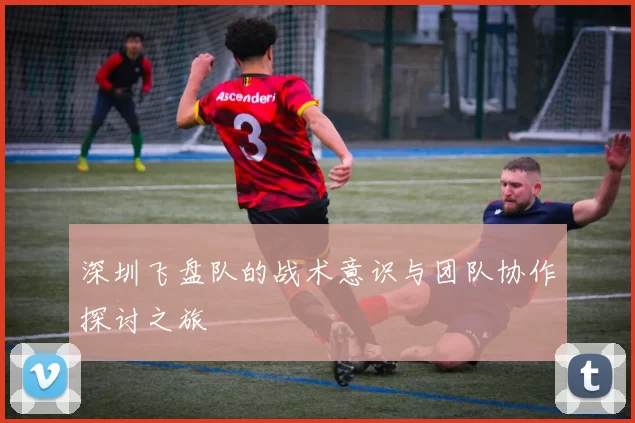 深圳飞盘队的战术意识与团队协作探讨之旅