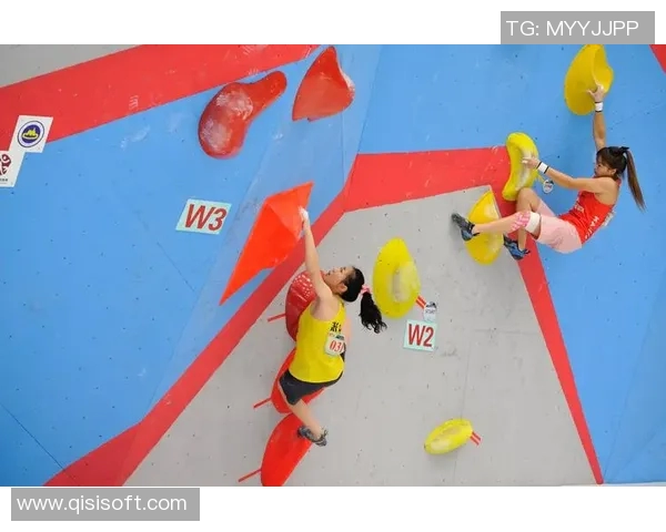 南京攀岩队的奋斗历程：勇攀高峰的青春故事与团队精神