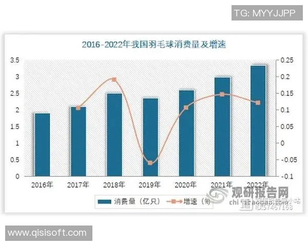 武汉羽毛球队近期状态分析与未来发展趋势探讨