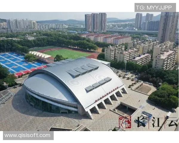 武汉乒乓球队的节奏与风采探秘:从训练到比赛的全景观察